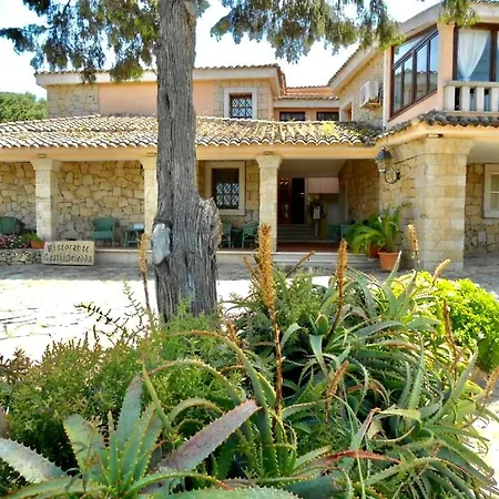 Grazia Deledda アルツァケーナ