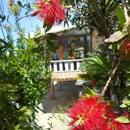 ホテル Grazia Deledda 3*