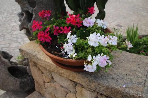 فندق Grazia Deledda 3*