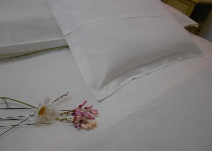 فندق Grazia Deledda أرتْساكينا